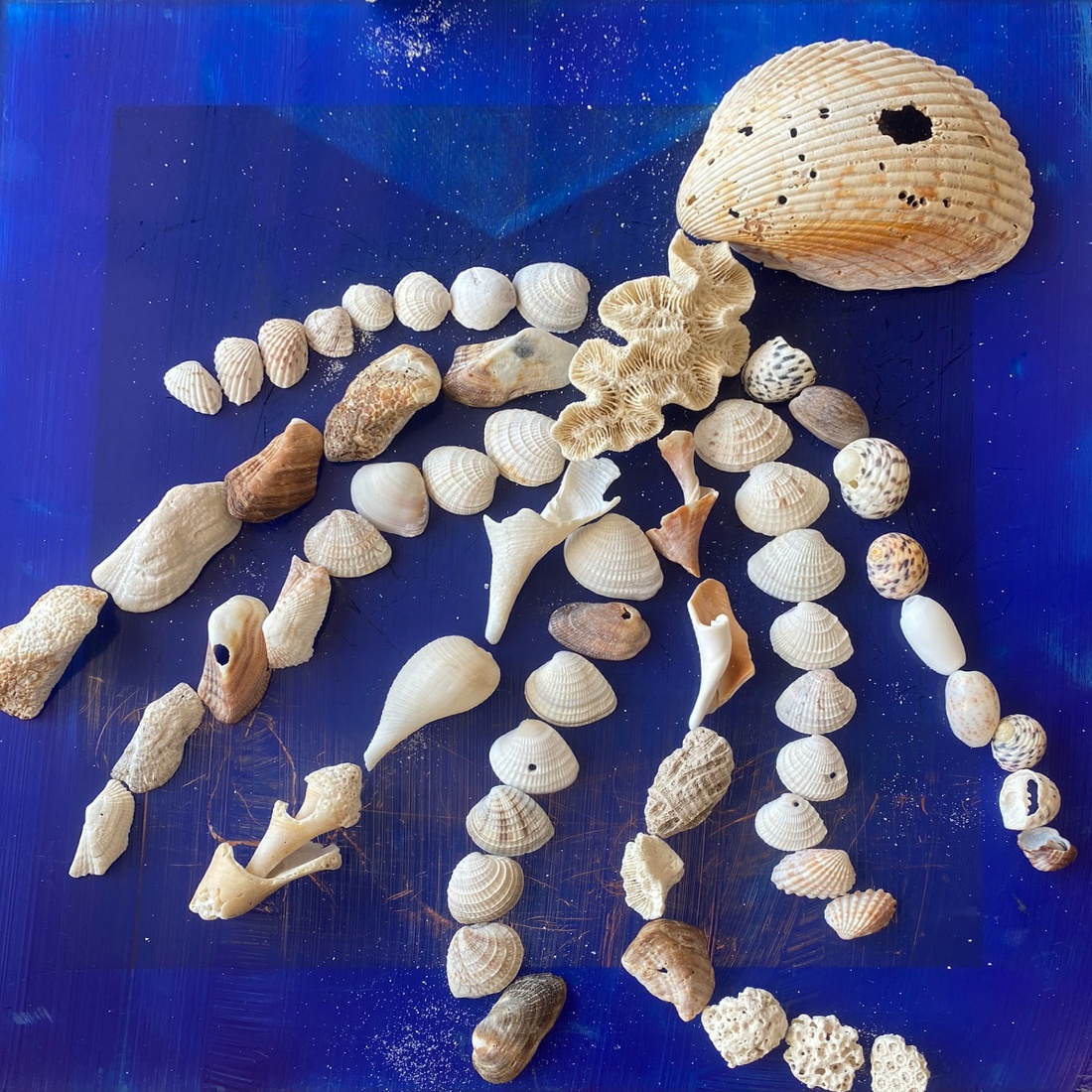 Small Shell Octopus, 12" × 12" painting